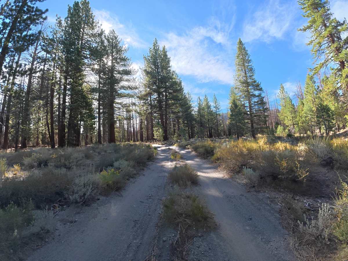 FS 3S22A photo 4