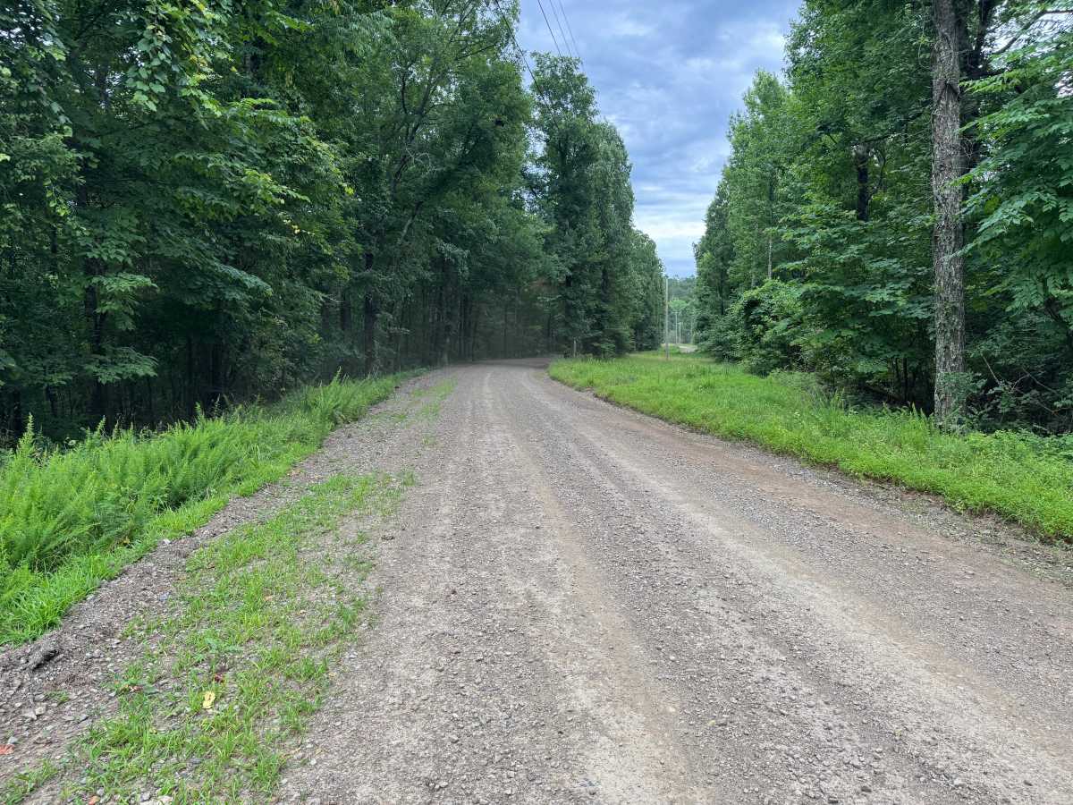 County Road 4141 trail photo
