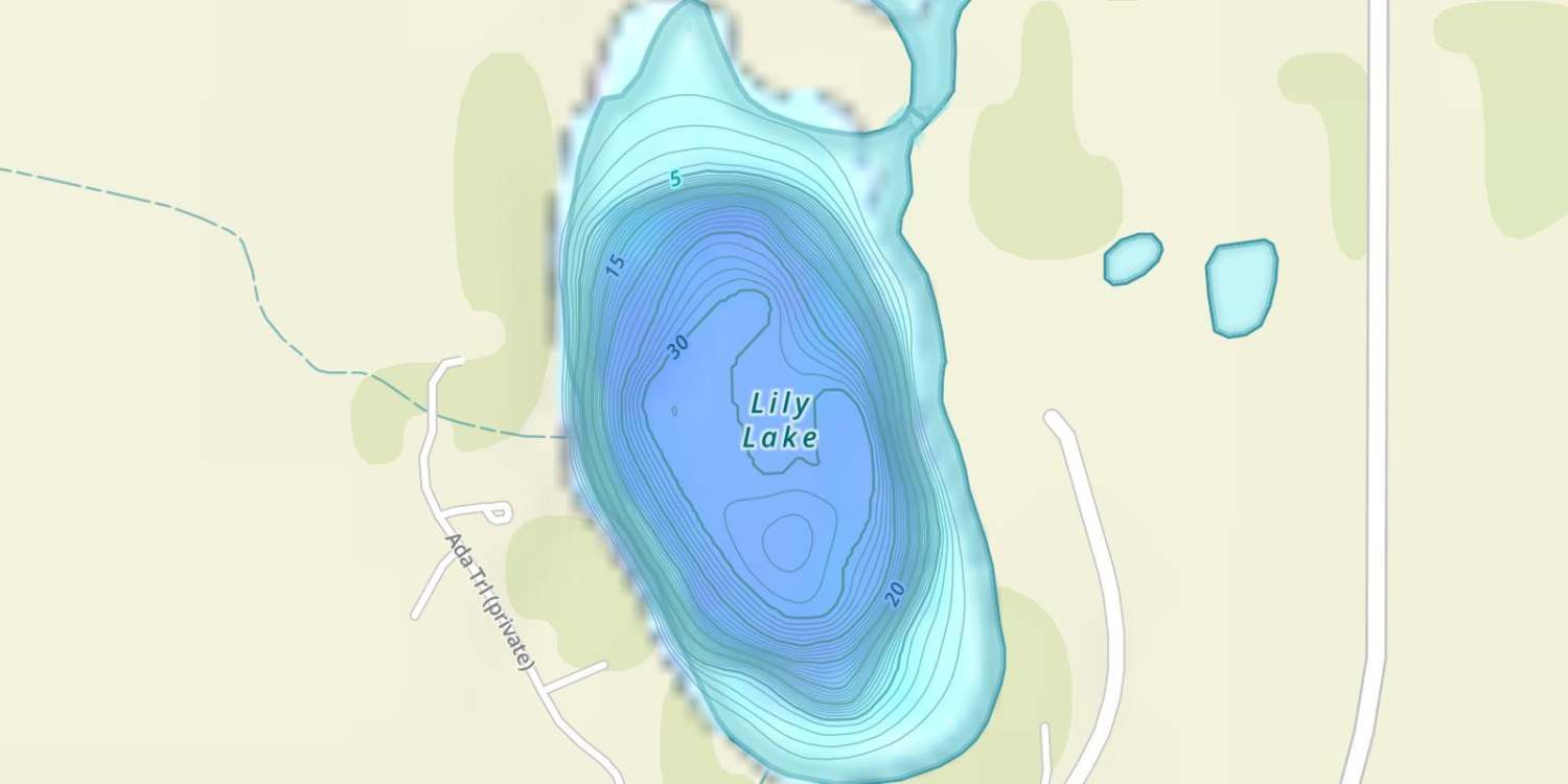 Lily Lake