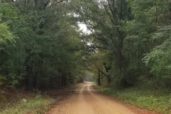 Bienville Scenic Trail