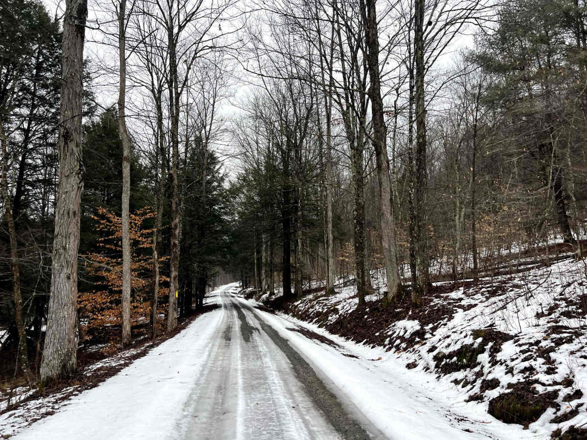 Landrus Road photo 4