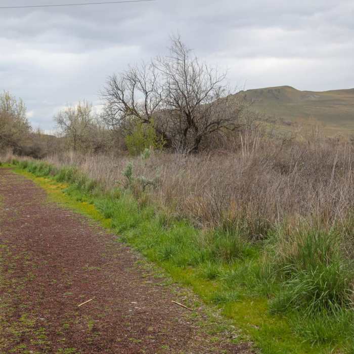 Near McNary Nature Trail