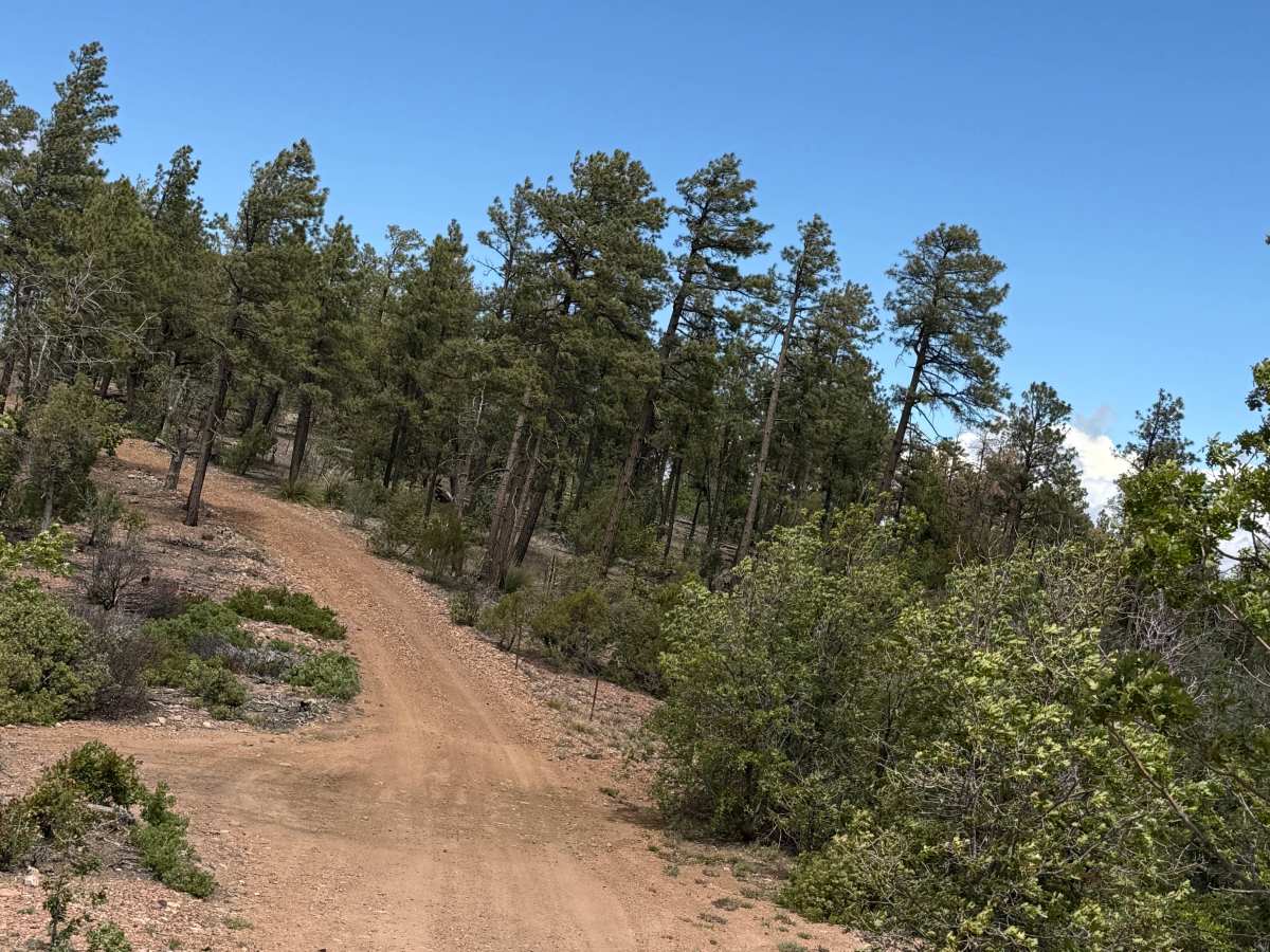 Juniper Ridge - FS 130 photo 6