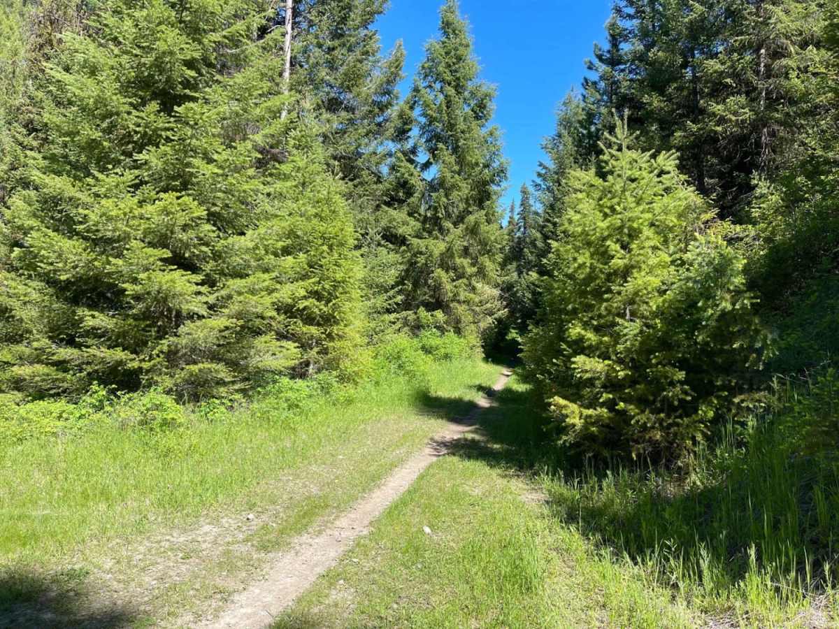 North Fork Howard Trailhead photo 2