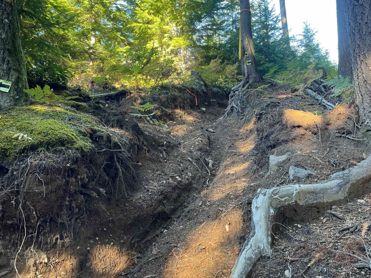 Cory's Nightmare trail photo