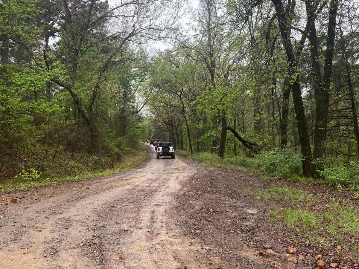 Shoal Creek  - FS 1604 trail photo