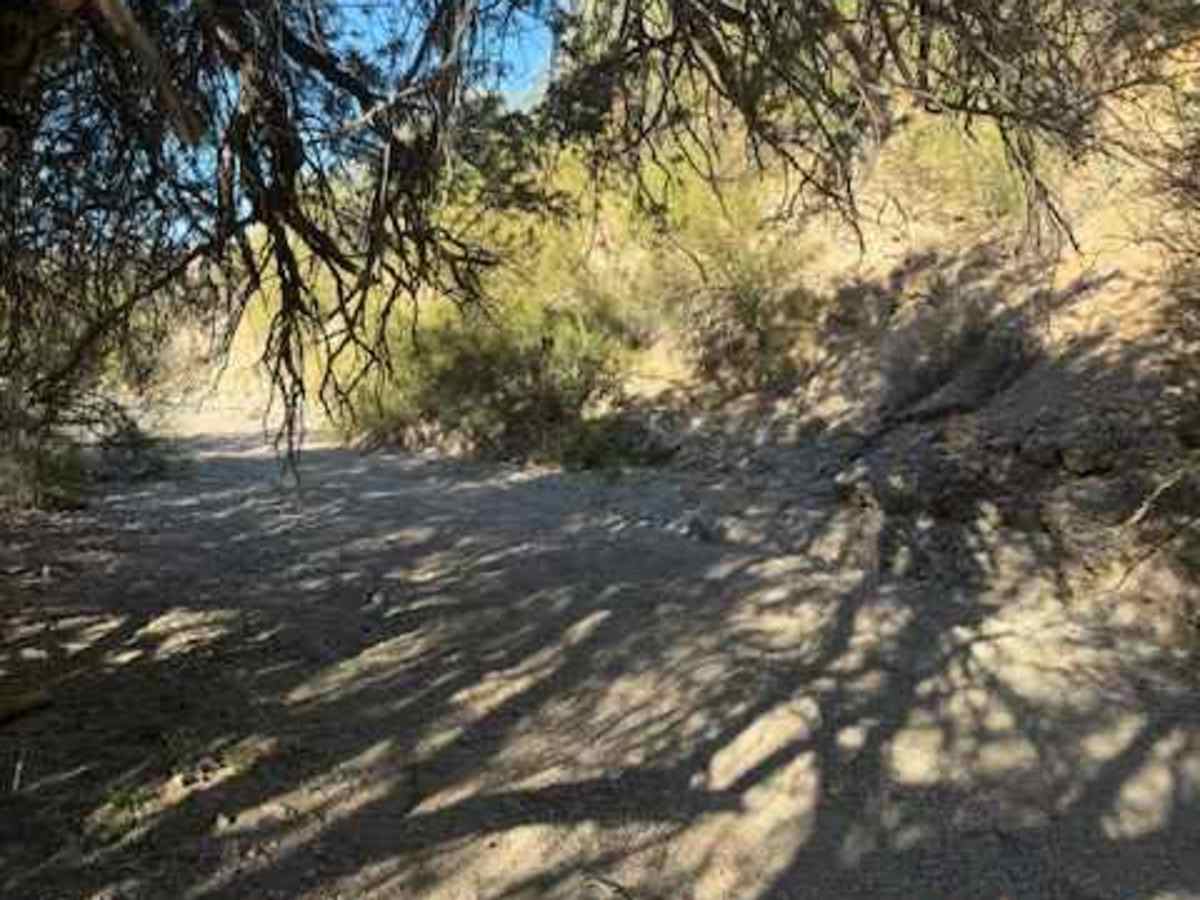 Nw2077a photo 5