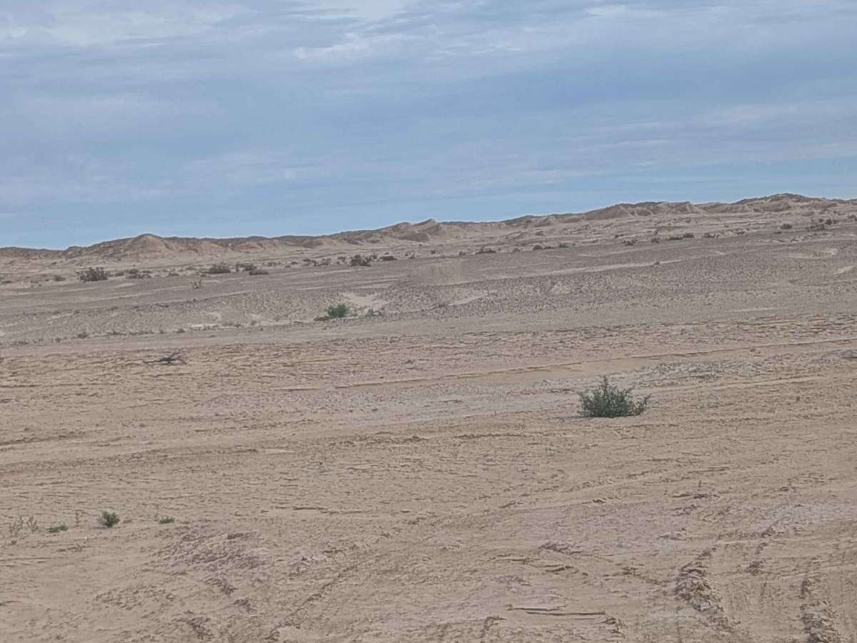 BLM 176 trail photo