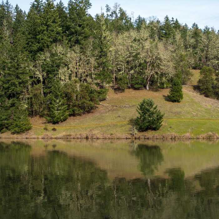 Near Cooper Creek Reservoir Trail