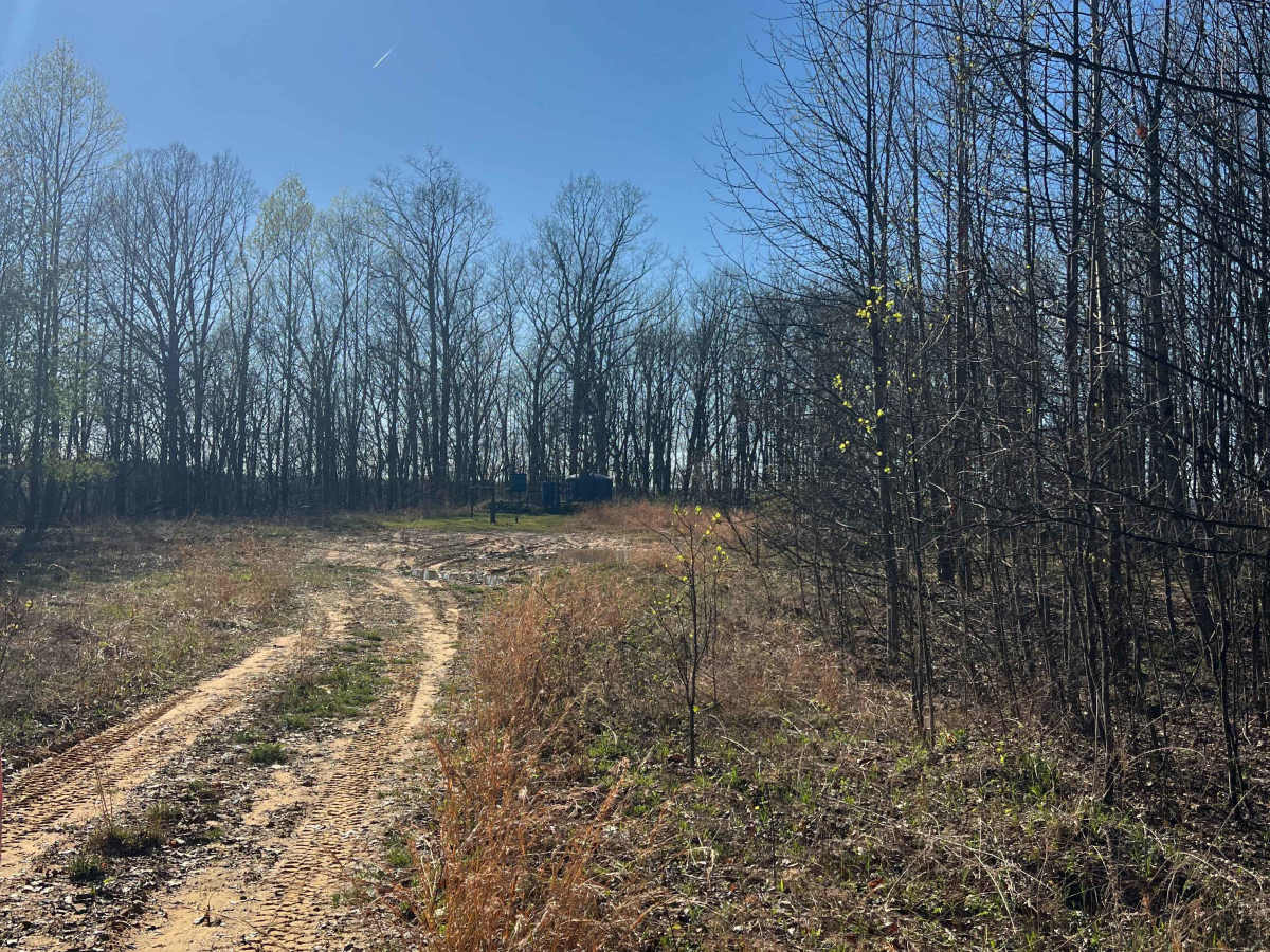 KC25 trail photo