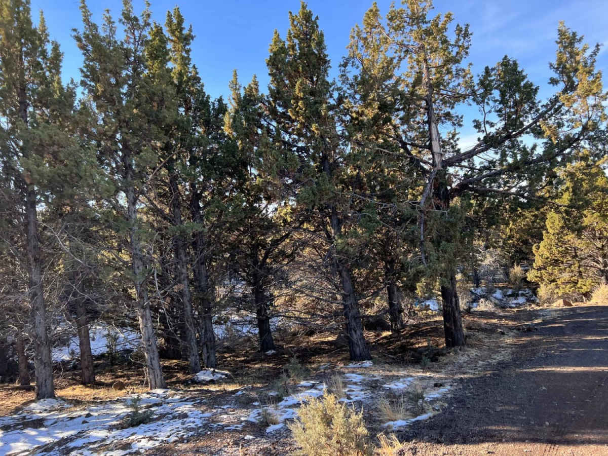 Gravel Pit Camp Road photo 3