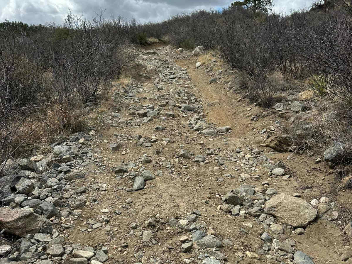 Confirmed Road trail photo