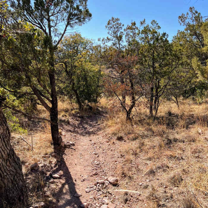 Near Canelo Hills Loop