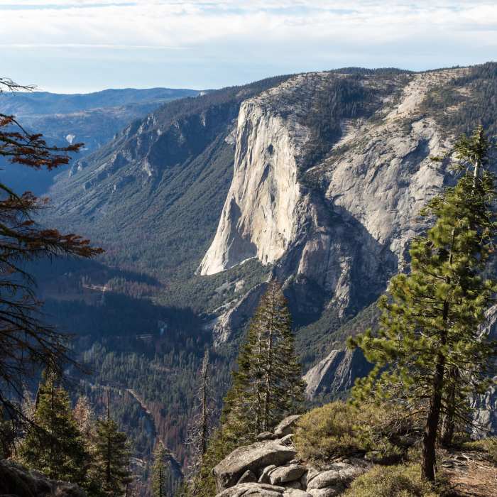 Near Roosevelt Point Trail