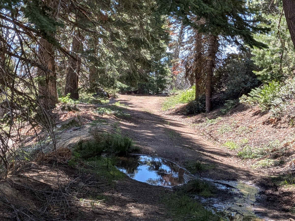 Sunday Peak Trail photo 2