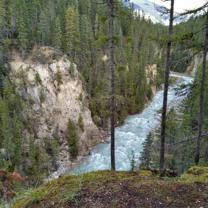 Near Thompson Falls Trail