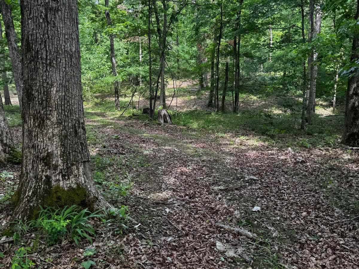 Perimeter Trail photo 2