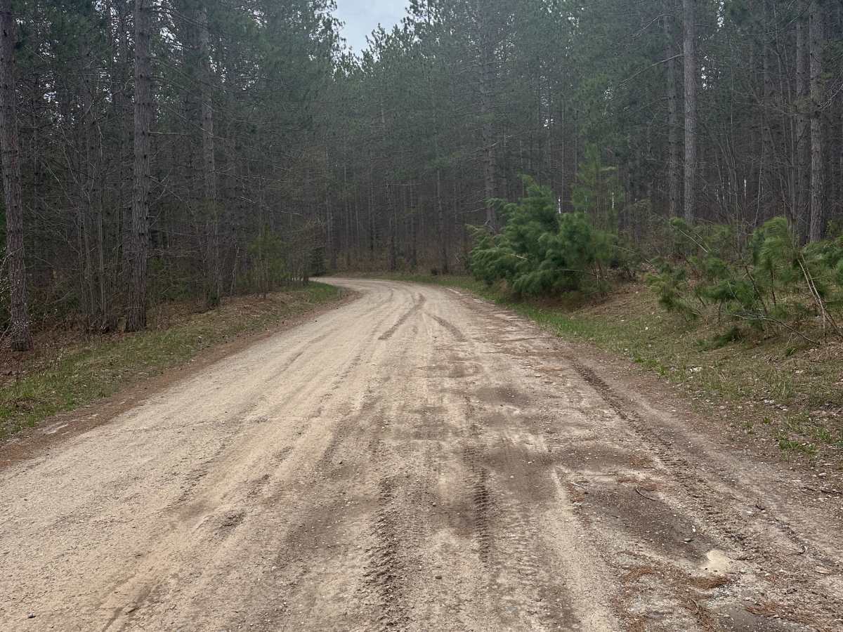 Deward Road Northeast trail photo