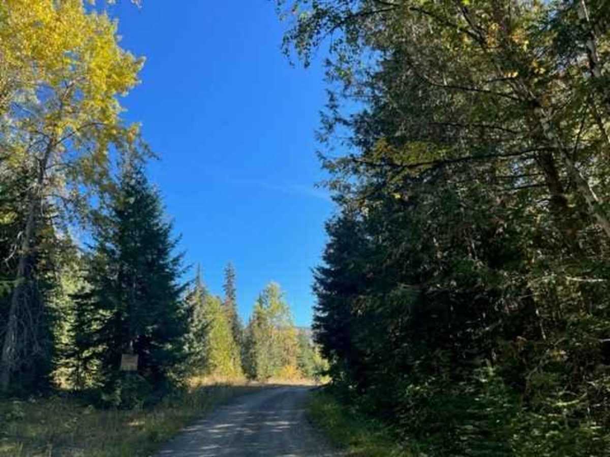 South Barriere Lake Road photo 4