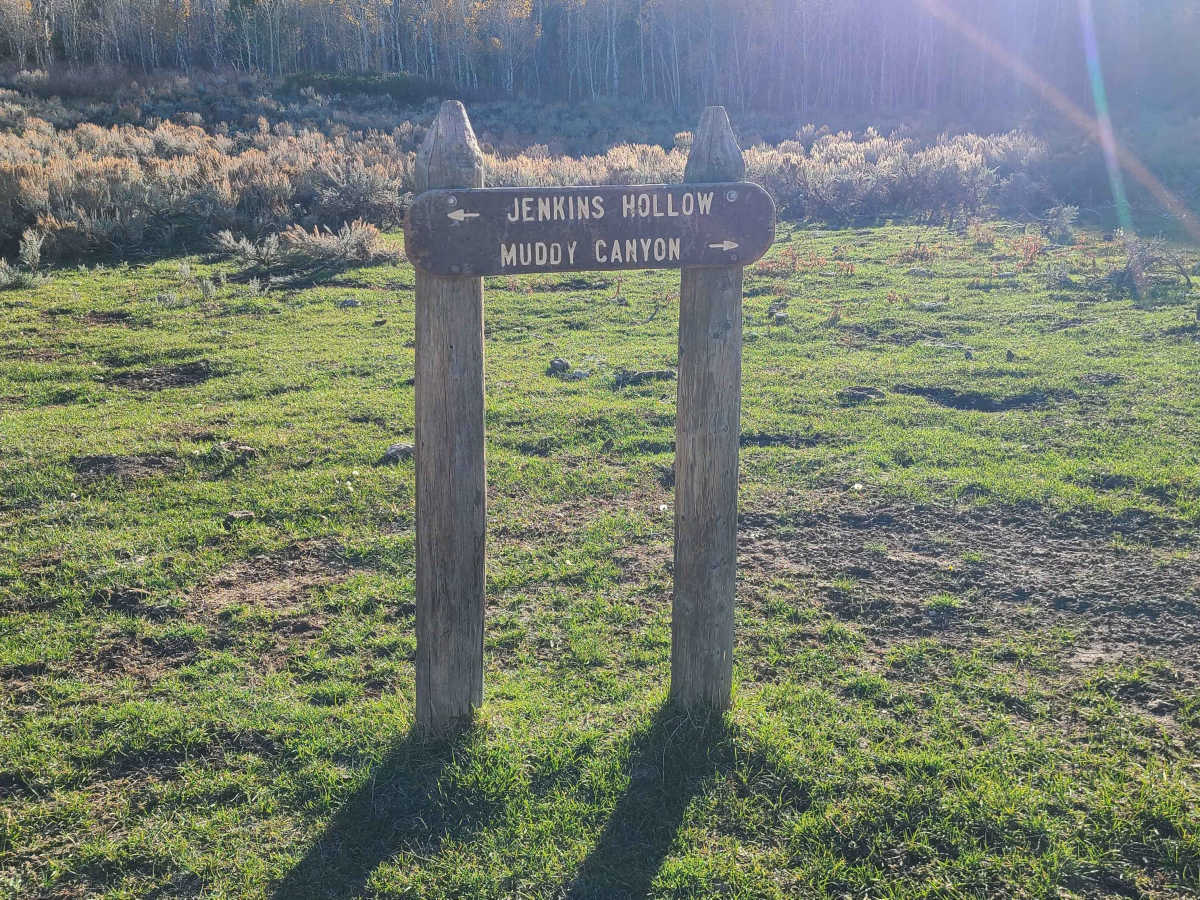 Jenkin's Hollow trail photo