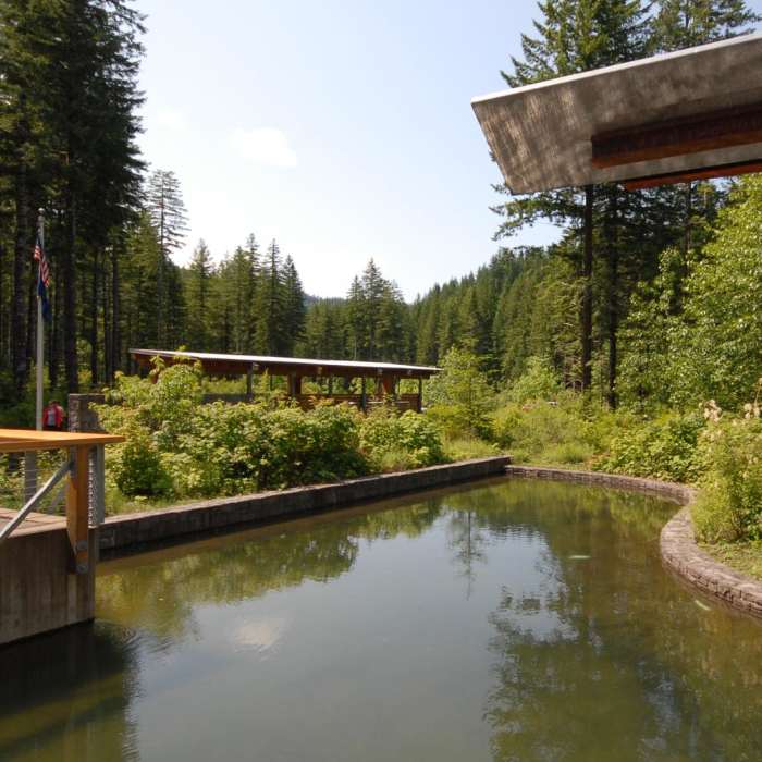 Near Wilson River + Tillamook Forestry Center