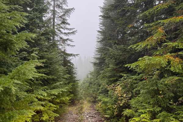 Twin Lake/ Cold Creek Road