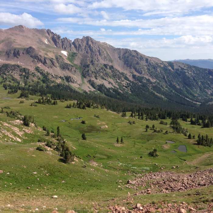 Near Gore Range Trail #60