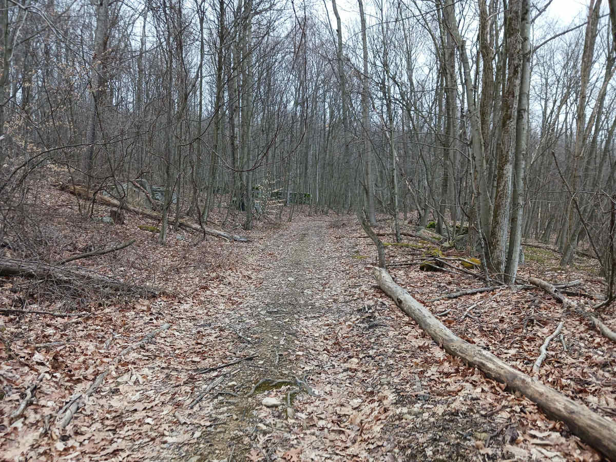 OHV 50 - Rock Run Recreation Area trail photo