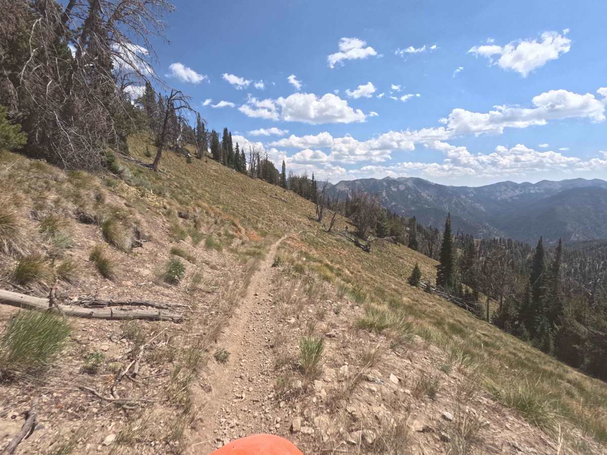 Mule Creek - FS 7198 photo 5