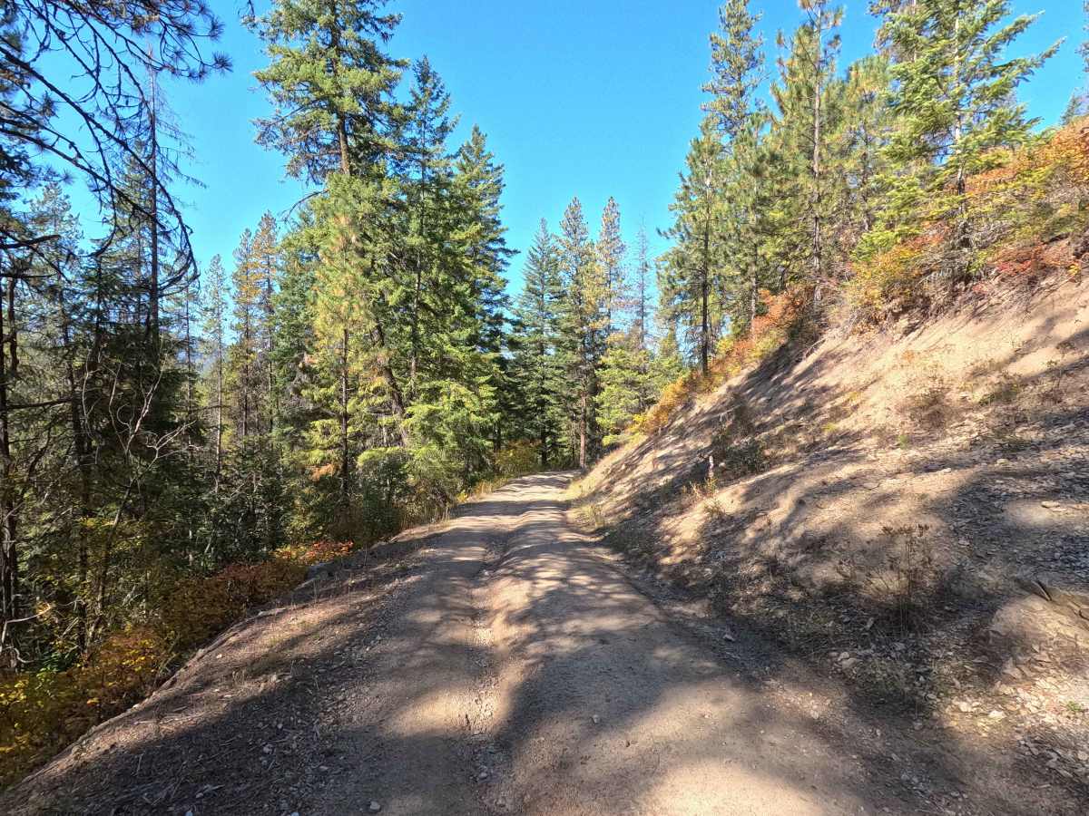 Little Twin Lakes Road - FS 7005300 photo 3