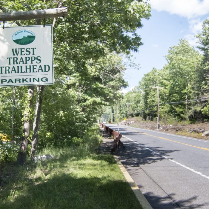 Near Millbrook Mountain + Gertrude's Nose
