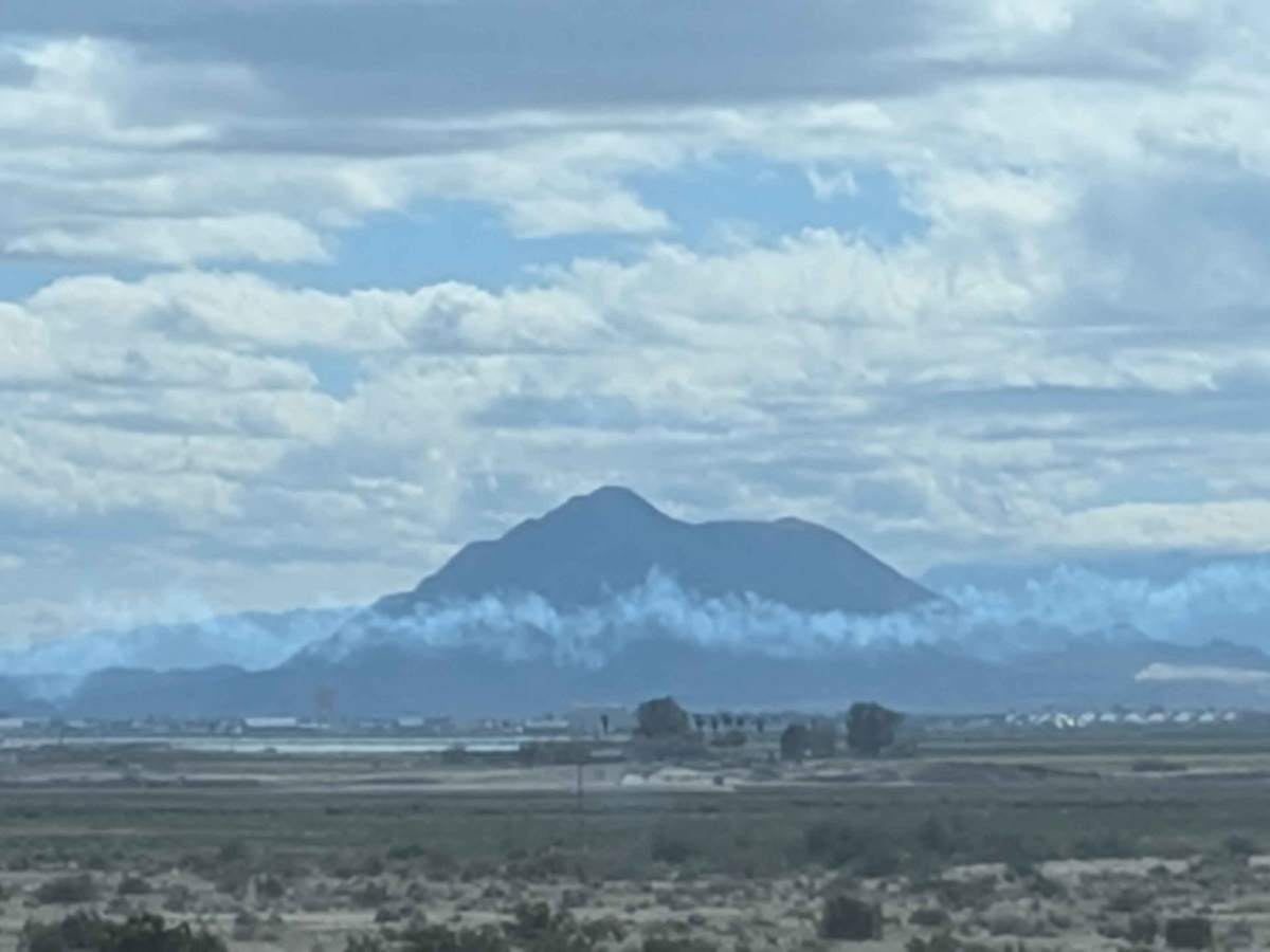 BLM 326 SE photo 6