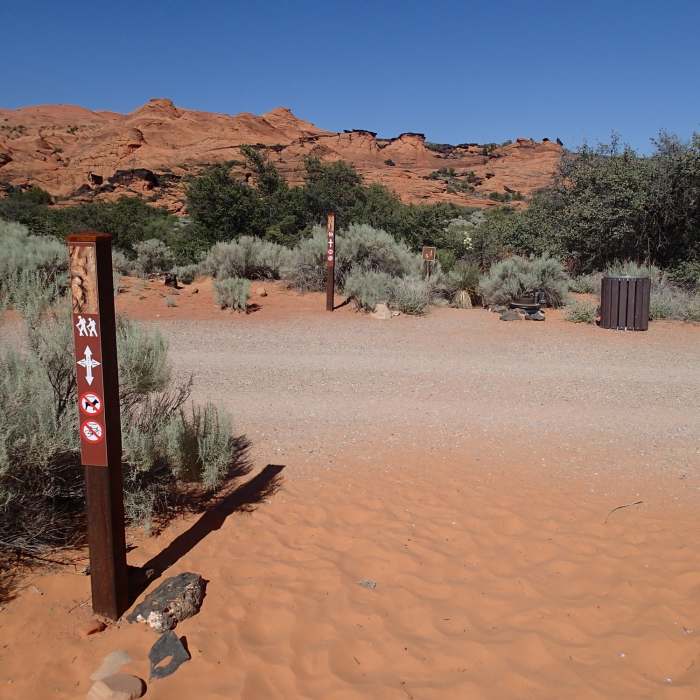 Near Lava Flow - Petrified Dunes Loop