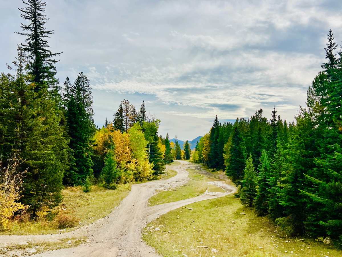 Lower Seven Sisters trail photo