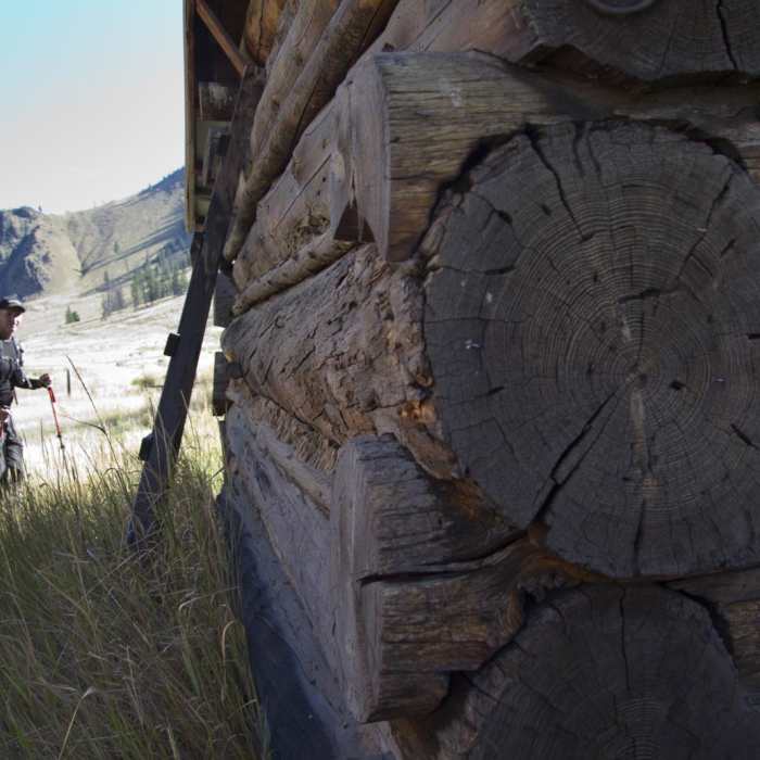 Near Middle Fork of the Salmon River Trail a Day 4
