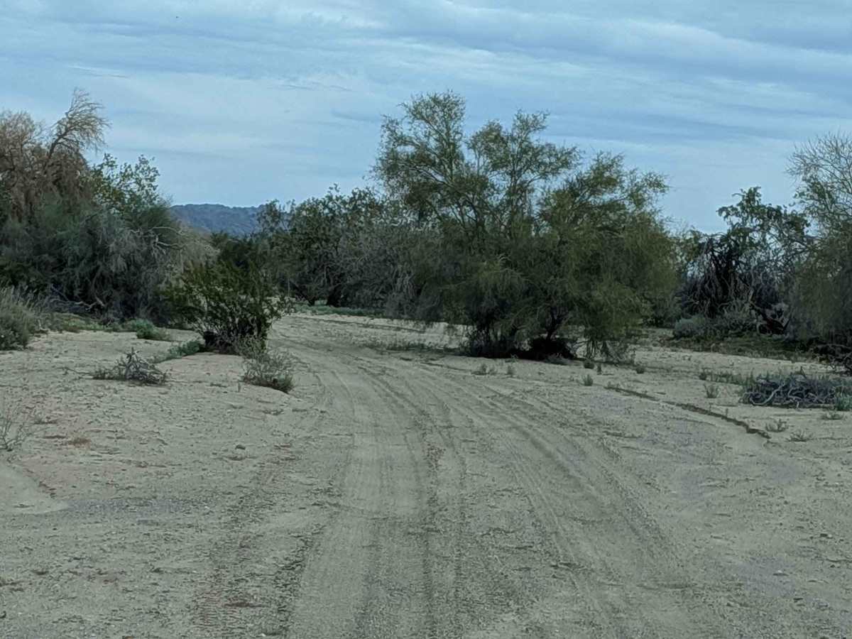 EC1219 photo 2