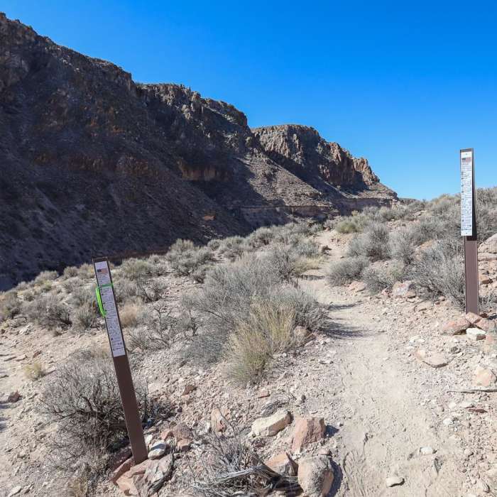 Near Canyon View Loop Near Canyon View Loop
