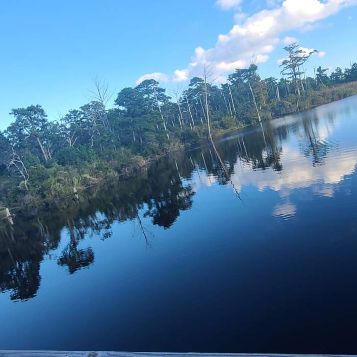 Little pond the trail loops around Near Sandy Run Park