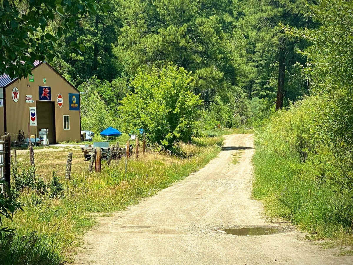 Devil Creek Wildlife Management Area-Fr Rd 627 photo 2