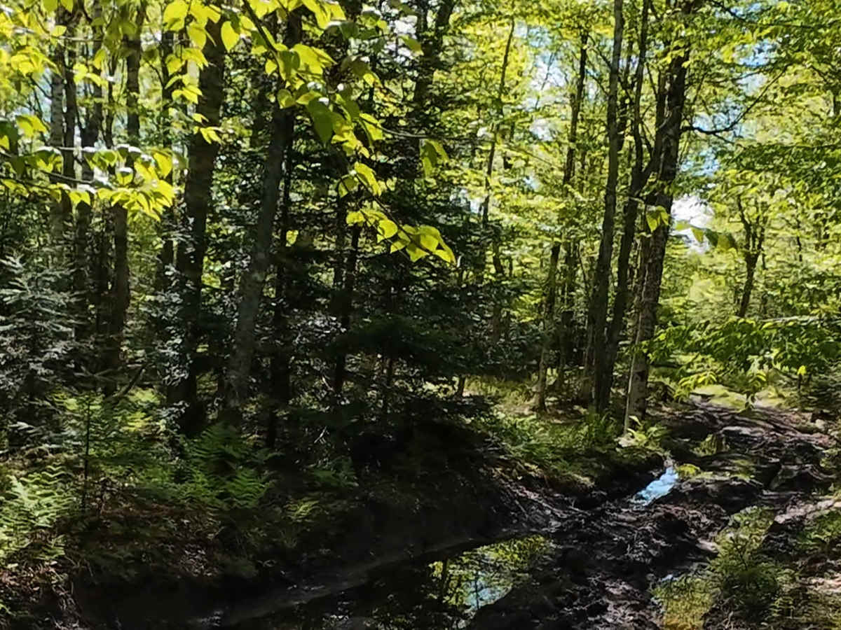 Beaumont Horseshoe Trail photo 5