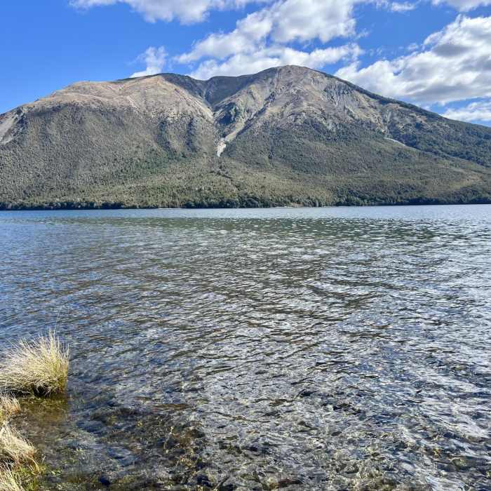 Near Brunner Peninsula Nature Walk Near Brunner Peninsula Nature Walk