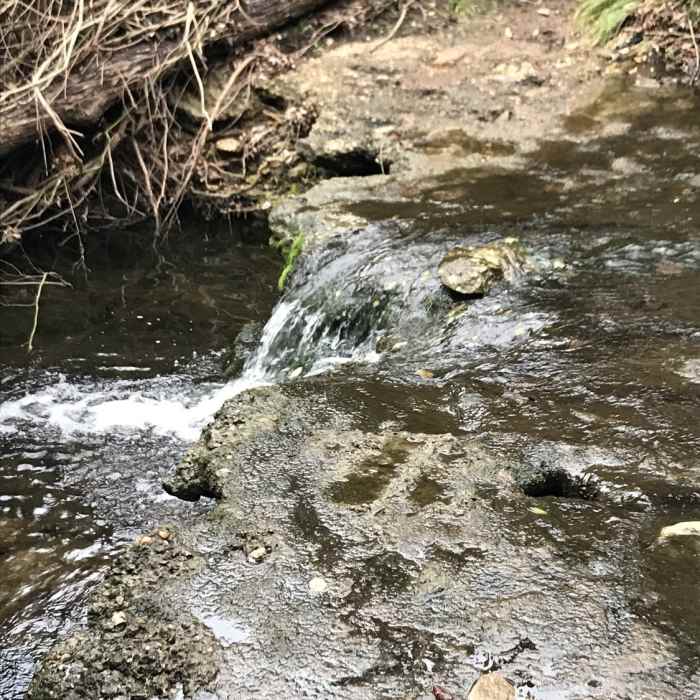 On one of the scenic loops. Near Great Hills Park Trail