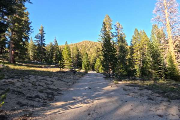 Jobs Peak Trail Spur - FS 31051A