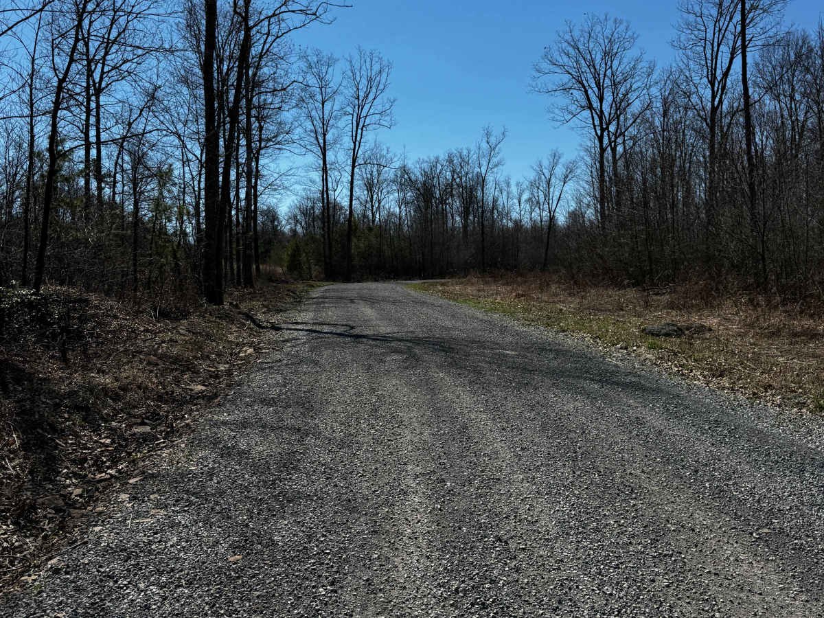 Marsh Creek Trail photo 3