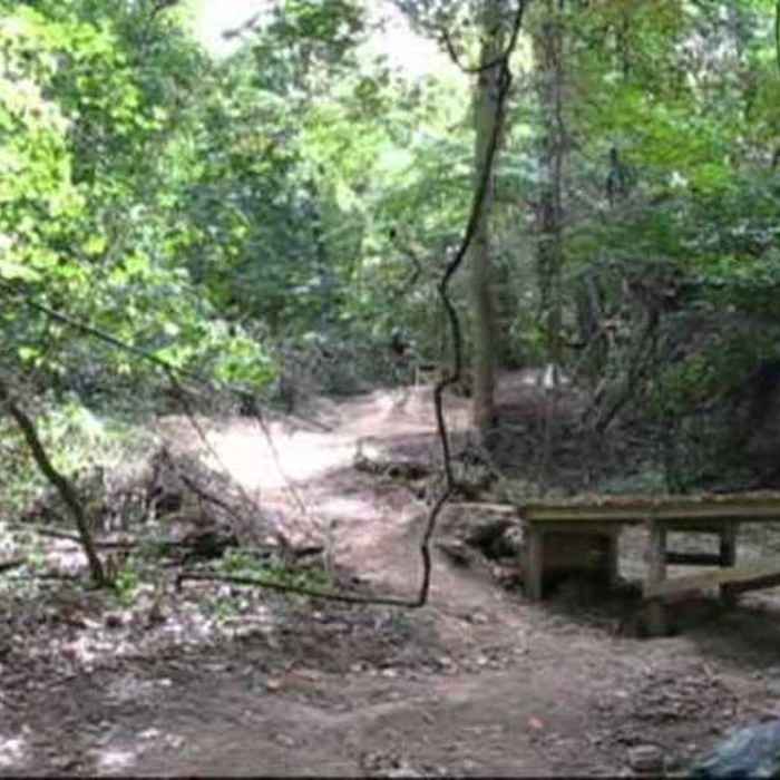 Near North Park Multi-Trail Circuit (Orange - Green - Red/Blue Blazes)