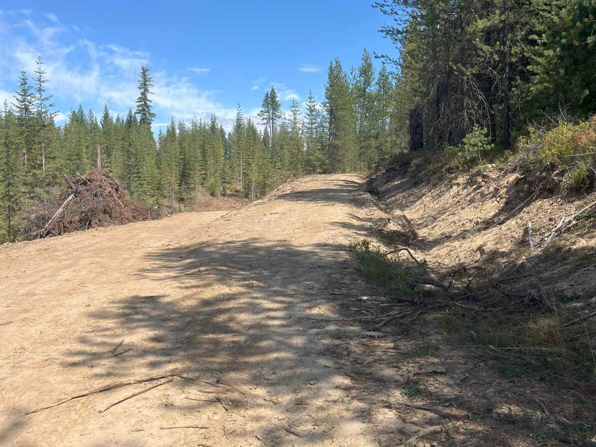 Moose Creek Old Logging Road Track photo 2
