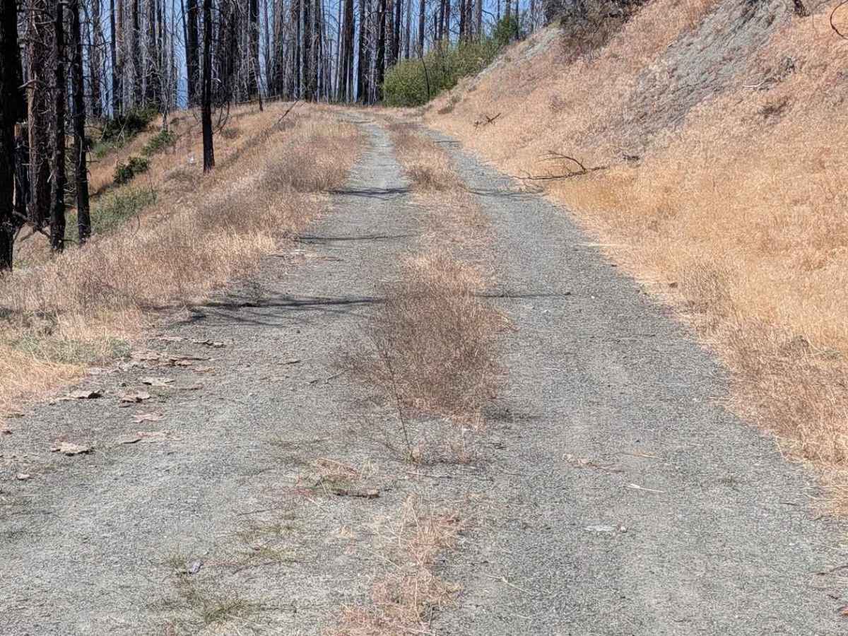 Smoky Road - FS 29N76 photo 4