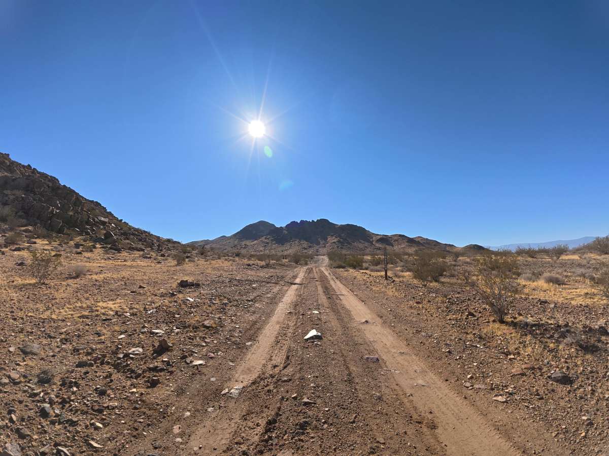 BLM 6604 photo 3