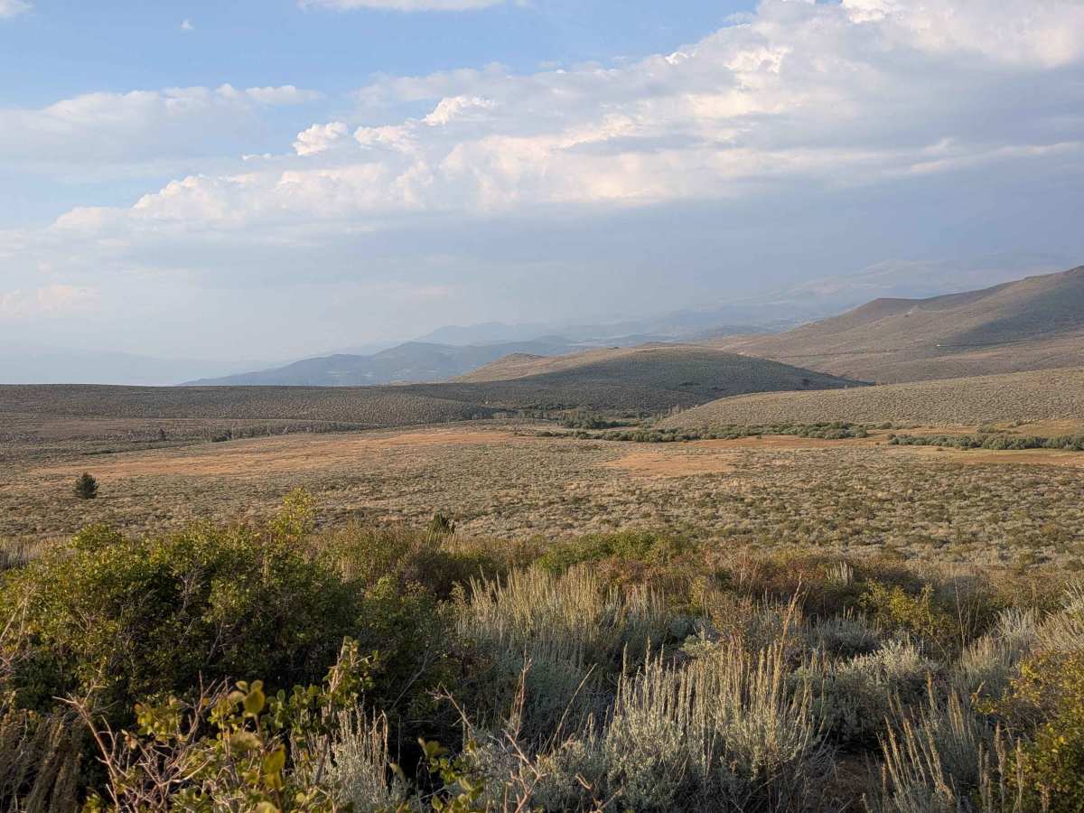 Dog Creek Loop photo 4