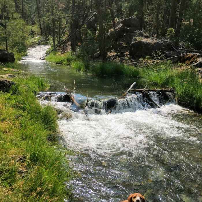 Near Paulina Lake Out and Back